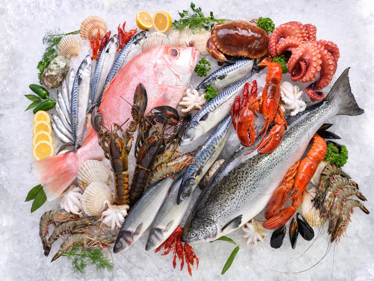 Pantangan makan seafood untuk asam urat