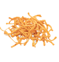 Ekstrak Cordyceps
